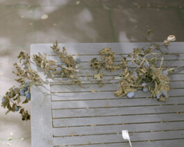 CERTAINE NON RÉALITÉ