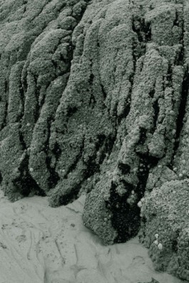 CERTAINE NON RÉALITÉ