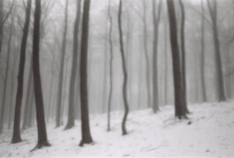 CERTAINE NON RÉALITÉ